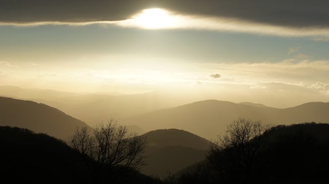 Ciel gite des libellules Ciel gite des libellules